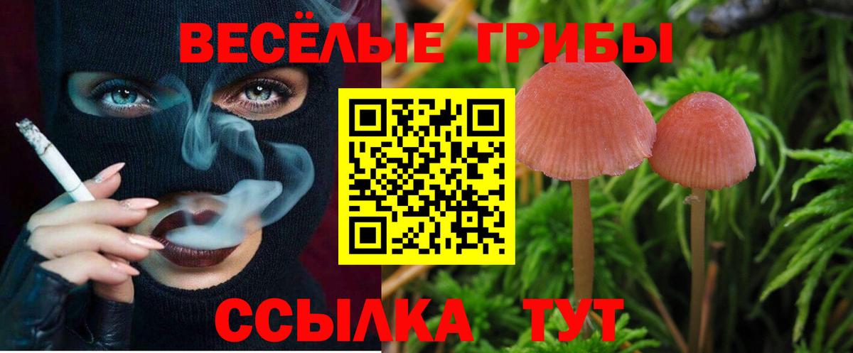 Псилоцибиновые грибы Magic Shrooms  Вход с VPN  Морозовск 